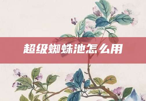 超级蜘蛛池怎么用