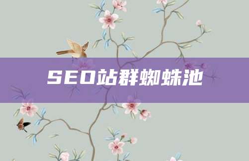 SEO站群蜘蛛池