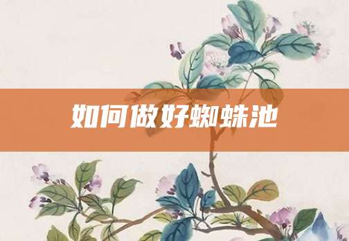 如何做好蜘蛛池