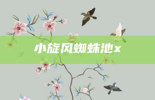 小旋风蜘蛛池x