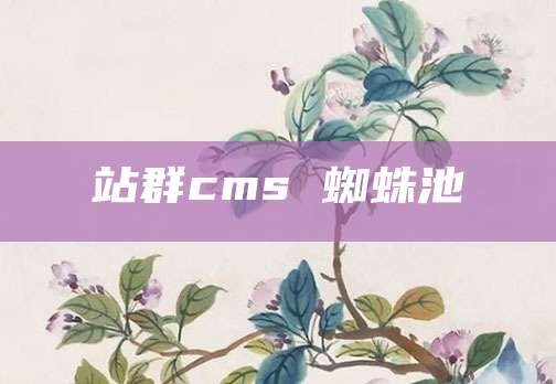 站群cms 蜘蛛池