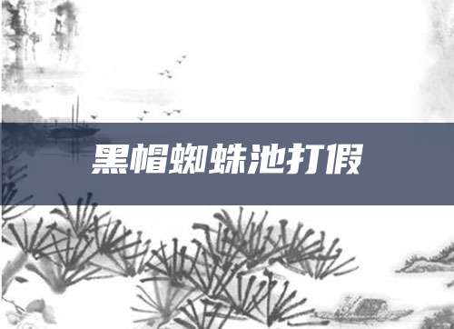 黑帽蜘蛛池打假