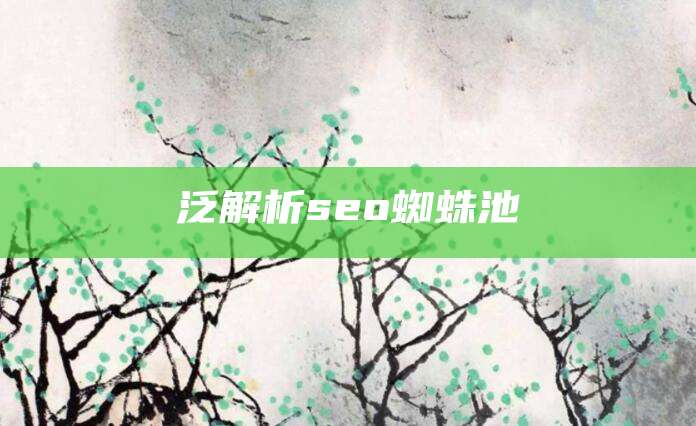 泛解析seo蜘蛛池