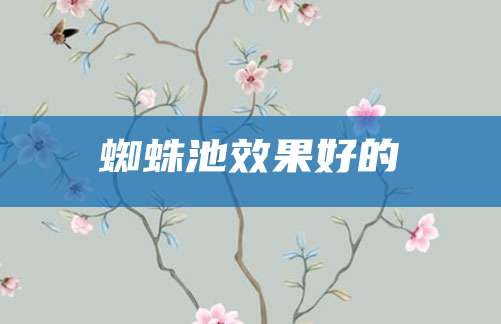 蜘蛛池效果好的