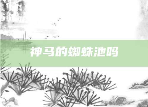 神马的蜘蛛池吗