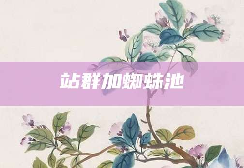 站群加蜘蛛池