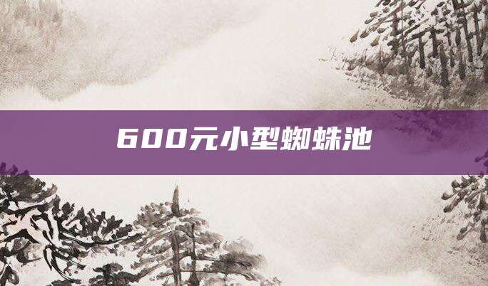 600元小型蜘蛛池