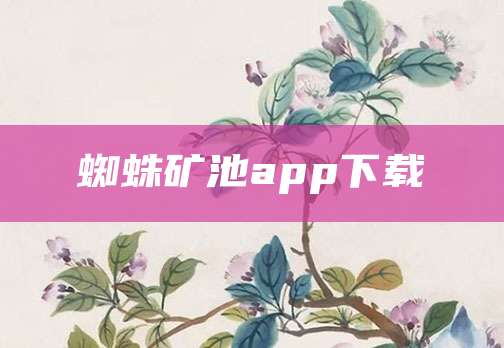 蜘蛛矿池app下载