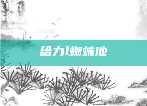 给力l蜘蛛池