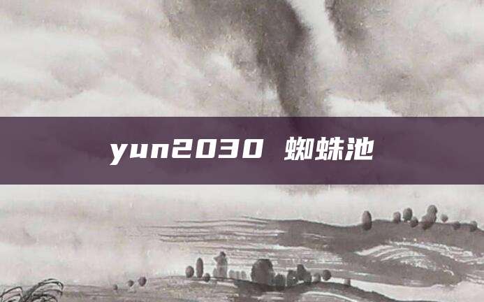 yun2030 蜘蛛池