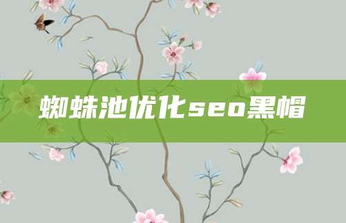 蜘蛛池优化seo黑帽