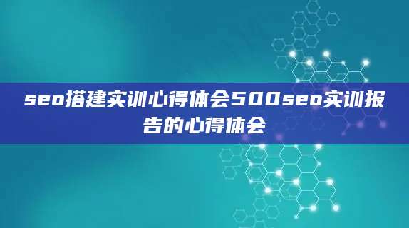 seo搭建实训心得体会500seo实训报告的心得体会