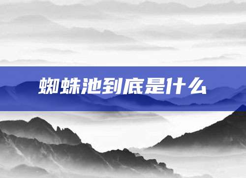 蜘蛛池到底是什么