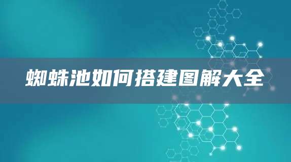 蜘蛛池如何搭建图解大全