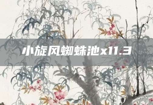 小旋风蜘蛛池x11.3