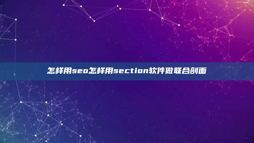 怎样用seo怎样用section软件做联合剖面